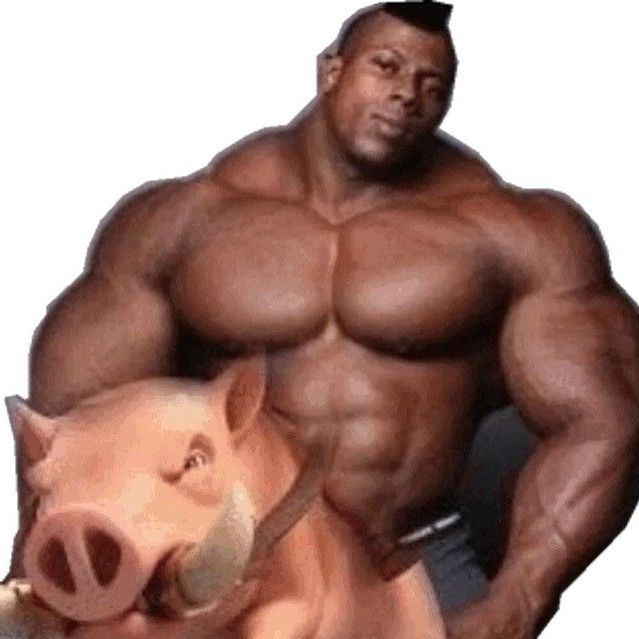 Hog Rider Coin Logo